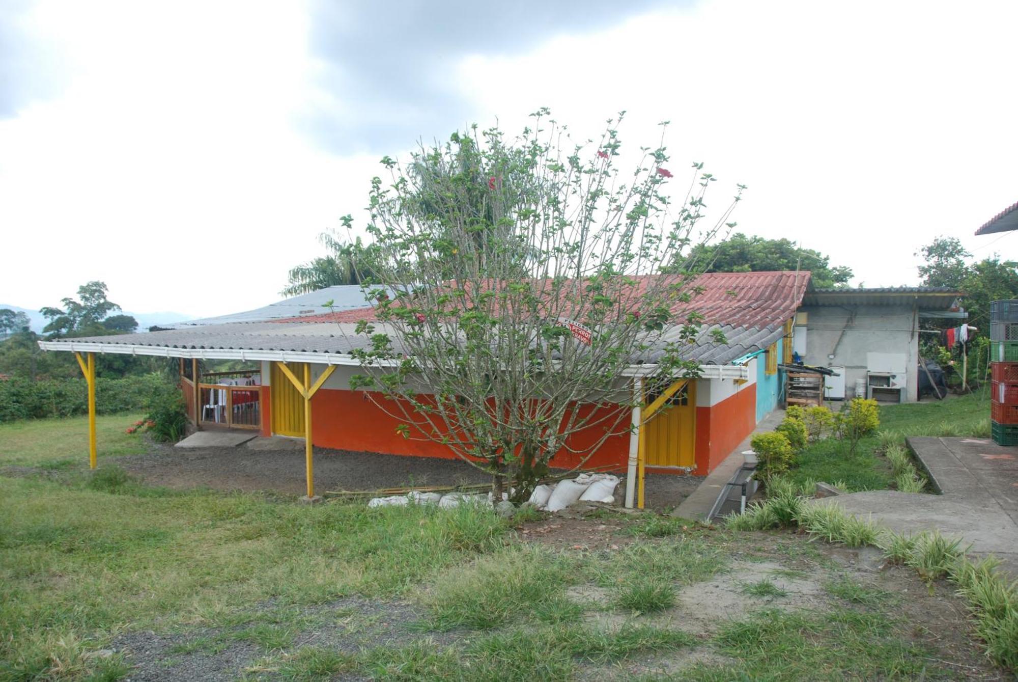 Finca En El Quindio Arrullo Cafetero Quimbaya Exterior foto